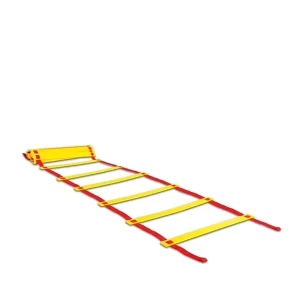 Ellipse Training Ladder